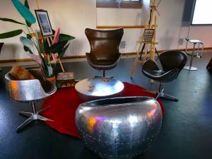 Aviator Egg Chair 0